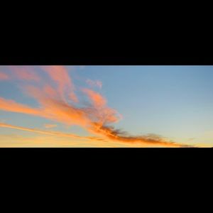 Meet your Posher, Cortney